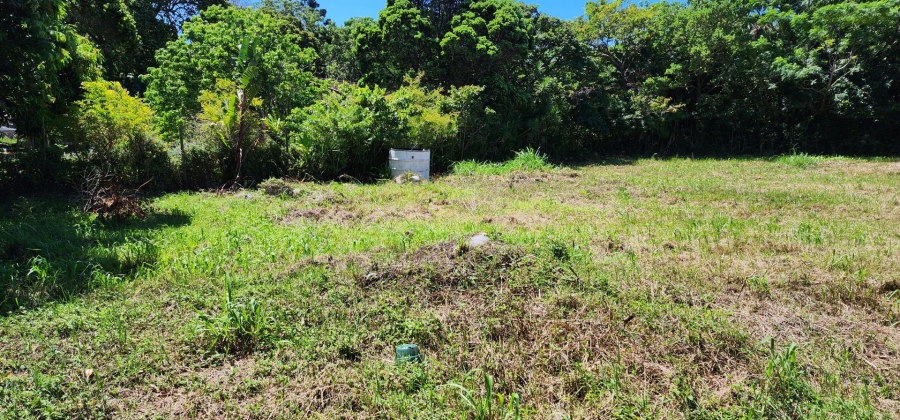 Commercial Property for Sale in Umtentweni KwaZulu-Natal