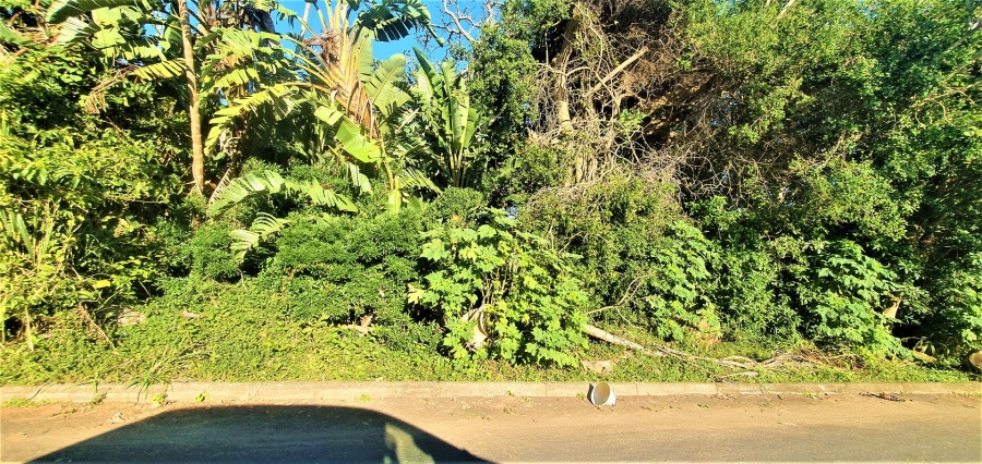 Commercial Property for Sale in Sea Park KwaZulu-Natal