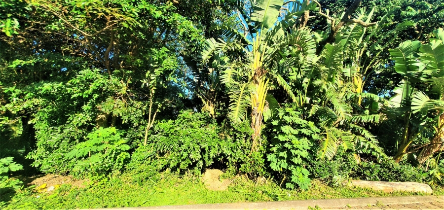 Commercial Property for Sale in Sea Park KwaZulu-Natal