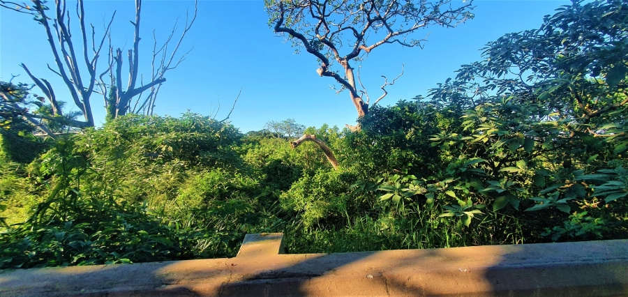 Commercial Property for Sale in Sea Park KwaZulu-Natal
