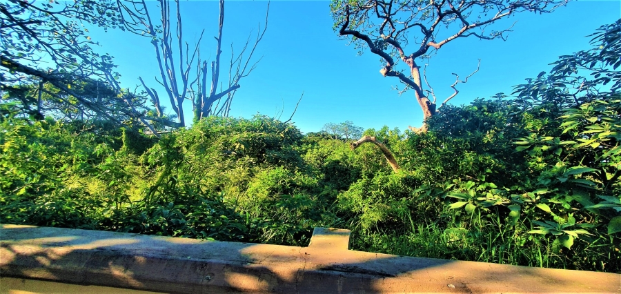 Commercial Property for Sale in Sea Park KwaZulu-Natal