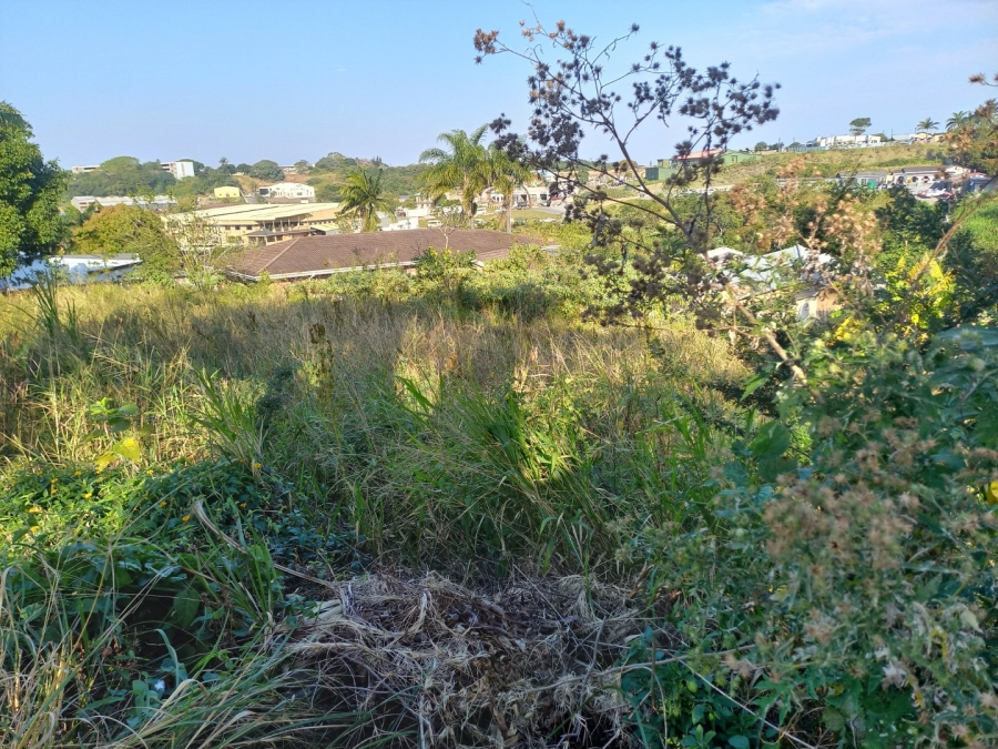 Commercial Property for Sale in Albersville KwaZulu-Natal