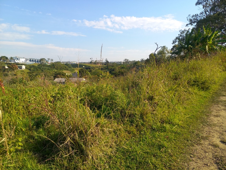 Commercial Property for Sale in Albersville KwaZulu-Natal