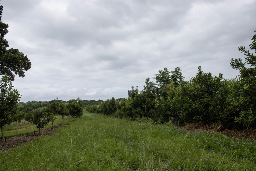 Commercial Property for Sale in Glenmore KwaZulu-Natal