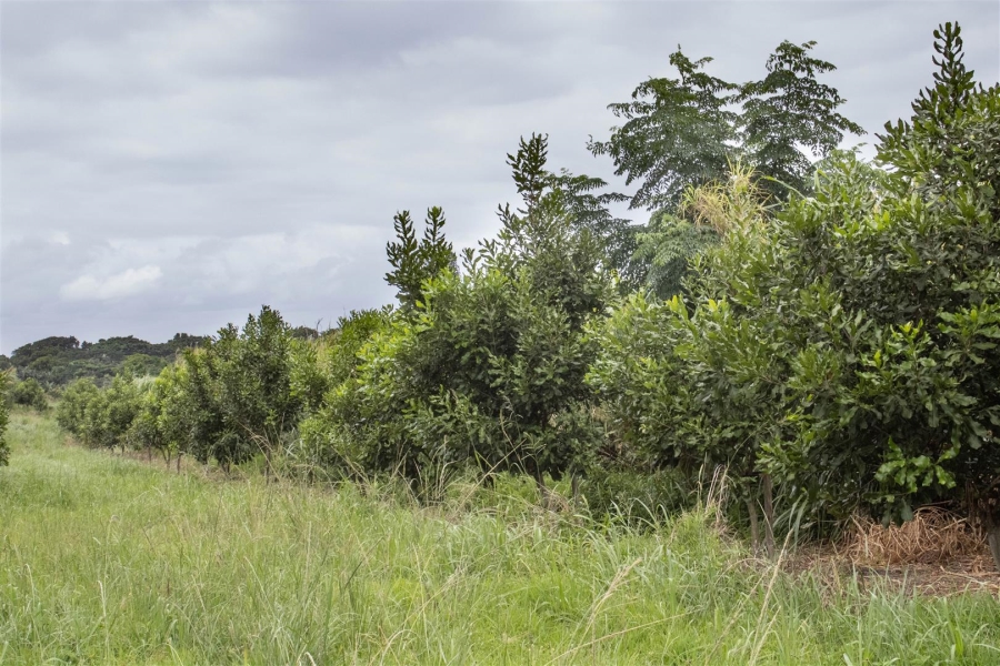 Commercial Property for Sale in Glenmore KwaZulu-Natal