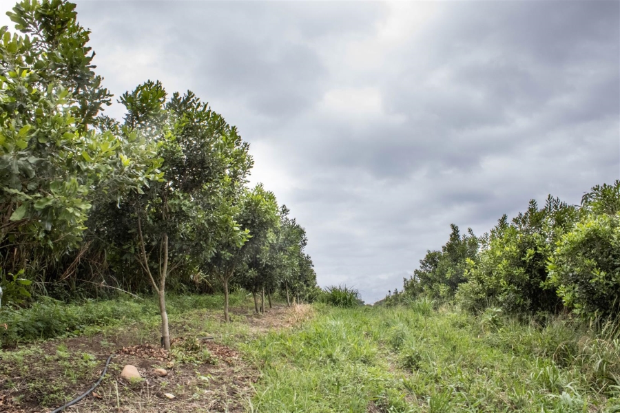 Commercial Property for Sale in Glenmore KwaZulu-Natal