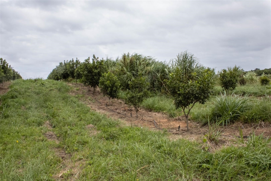 Commercial Property for Sale in Glenmore KwaZulu-Natal