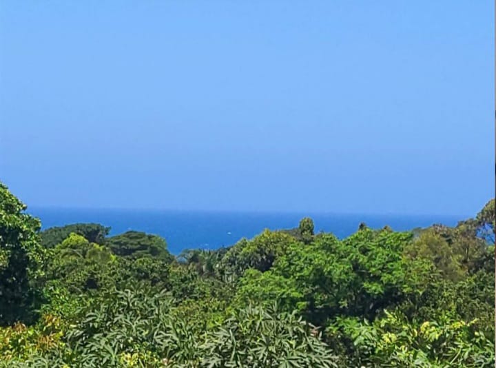 5 Bedroom Property for Sale in Pennington KwaZulu-Natal