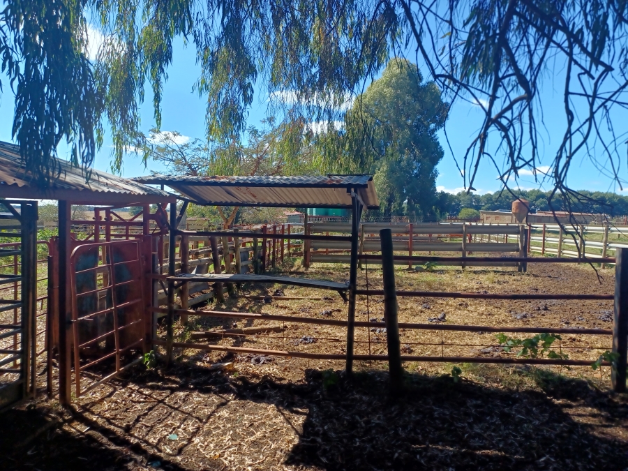 Commercial Property for Sale in Newcastle Rural KwaZulu-Natal