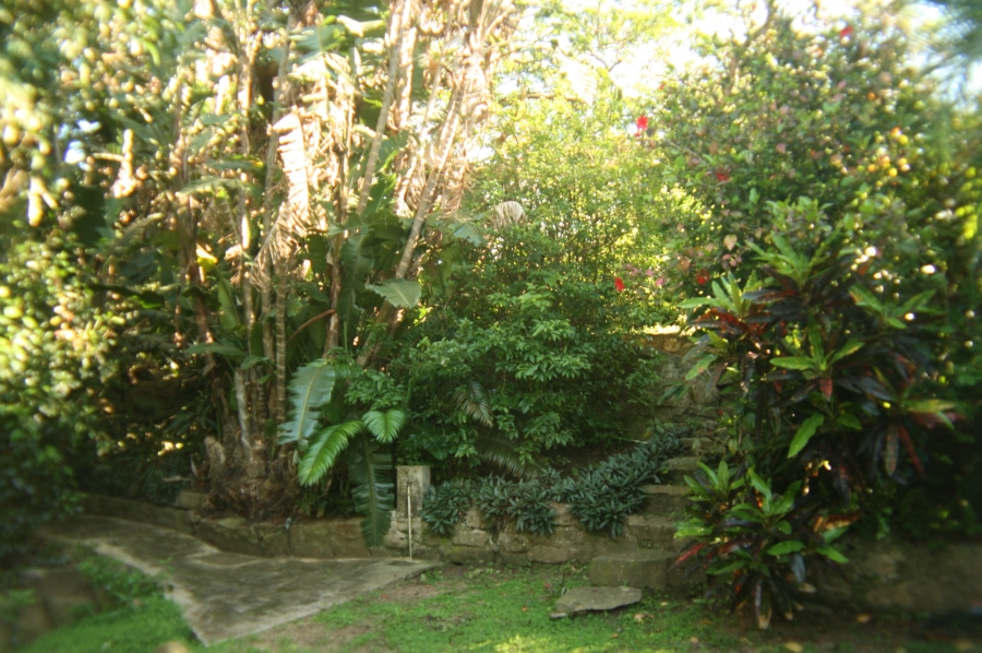 4 Bedroom Property for Sale in Freeland Park KwaZulu-Natal