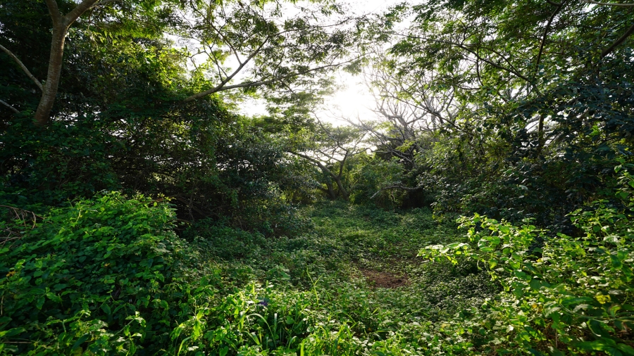 0 Bedroom Property for Sale in Sheffield Beach KwaZulu-Natal