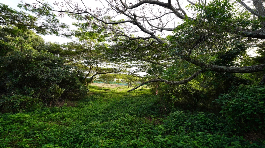 0 Bedroom Property for Sale in Sheffield Beach KwaZulu-Natal