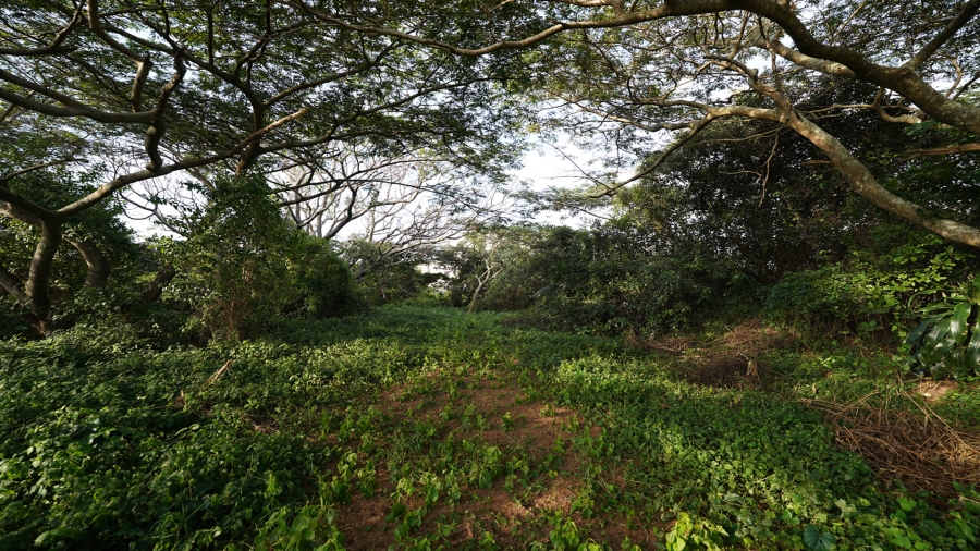 0 Bedroom Property for Sale in Sheffield Beach KwaZulu-Natal