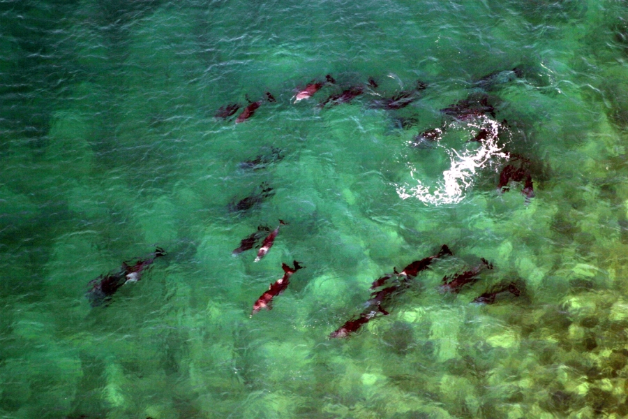 4 Bedroom Property for Sale in Blythedale KwaZulu-Natal