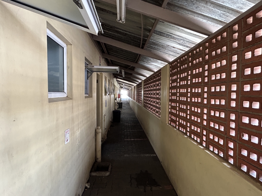 To Let commercial Property for Rent in Shakas Head KwaZulu-Natal