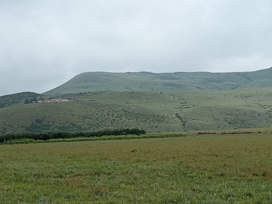 Commercial Property for Sale in Newcastle Rural KwaZulu-Natal