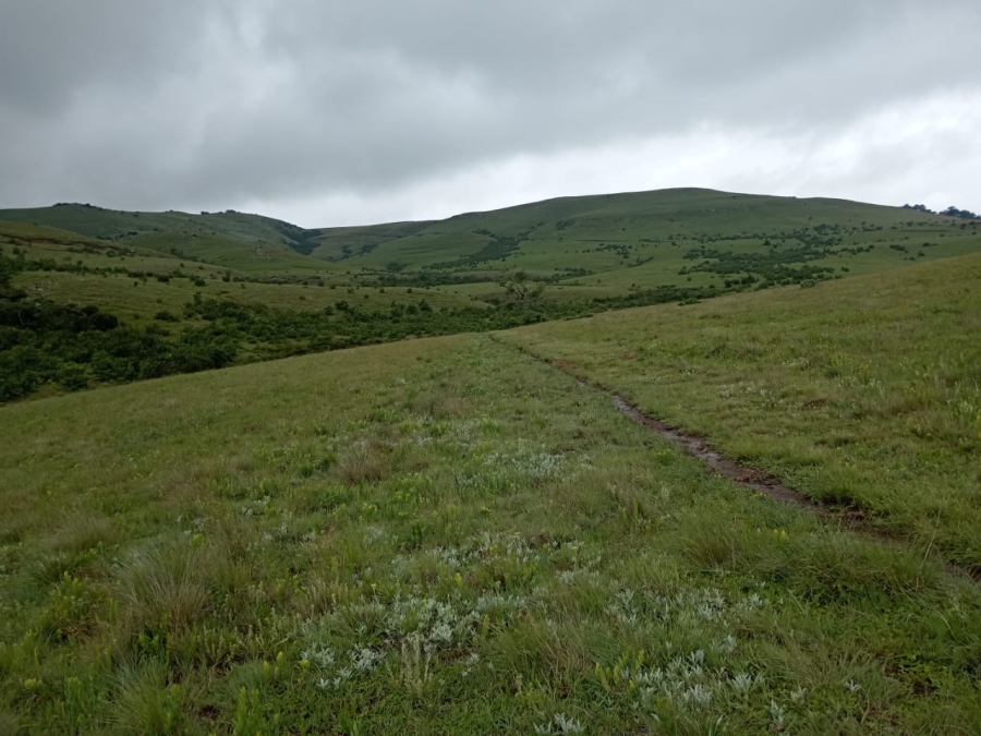 Commercial Property for Sale in Newcastle Rural KwaZulu-Natal