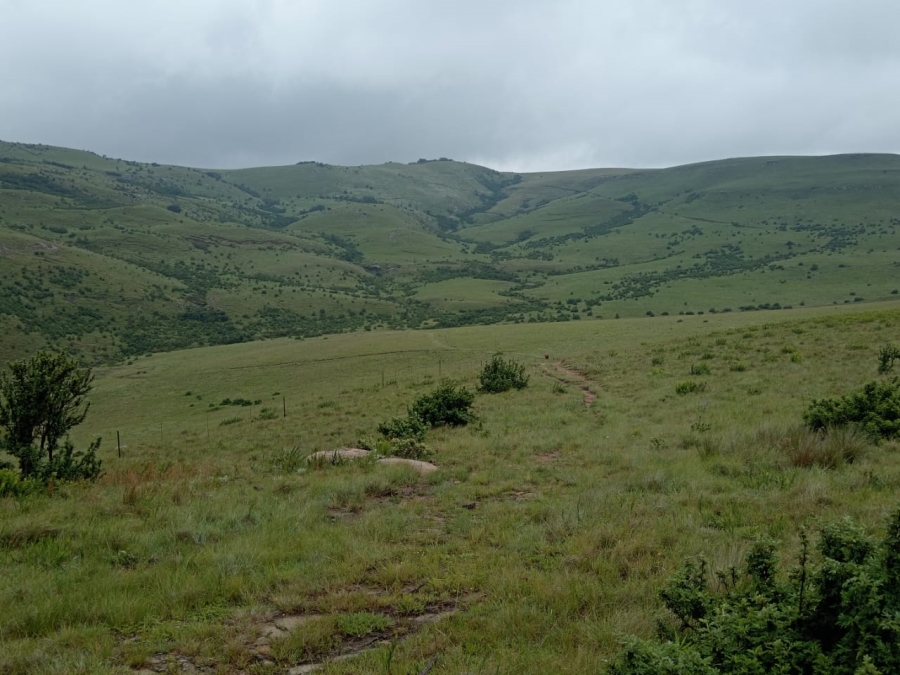 Commercial Property for Sale in Newcastle Rural KwaZulu-Natal