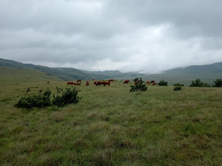 Commercial Property for Sale in Newcastle Rural KwaZulu-Natal