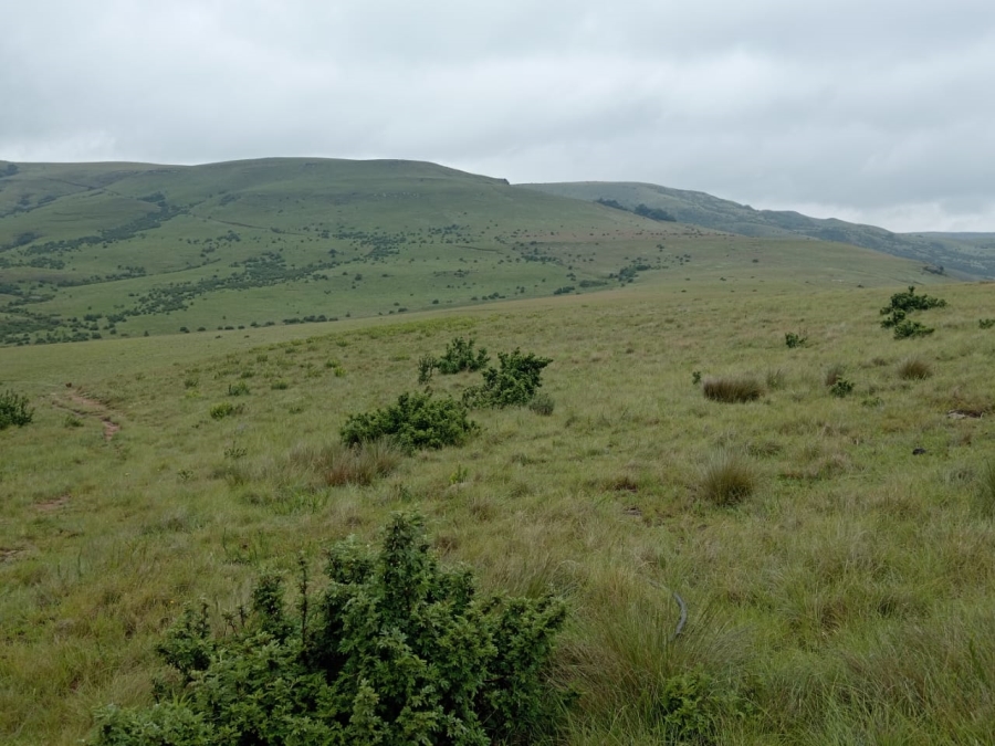 Commercial Property for Sale in Newcastle Rural KwaZulu-Natal