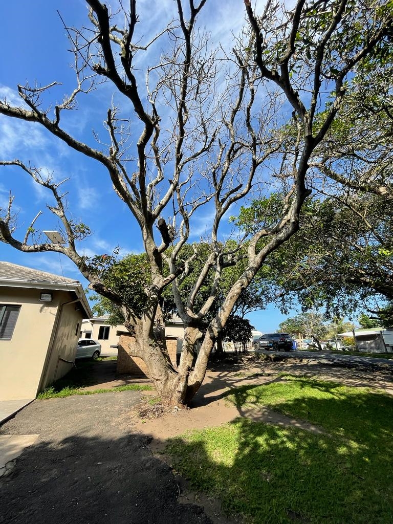 6 Bedroom Property for Sale in Tugela Mouth KwaZulu-Natal