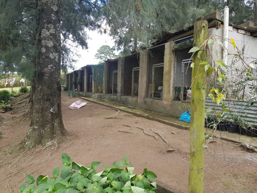 4 Bedroom Property for Sale in Thornville KwaZulu-Natal