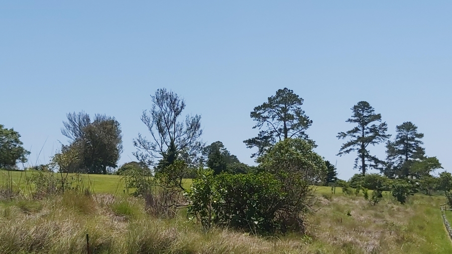 0 Bedroom Property for Sale in Eshowe KwaZulu-Natal