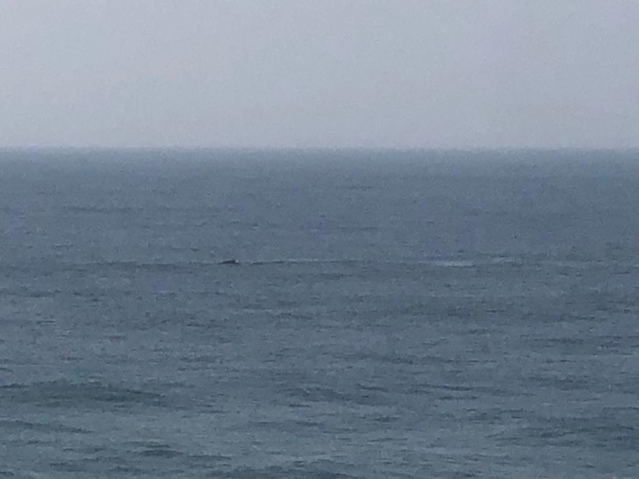 6 Bedroom Property for Sale in Tinley Manor KwaZulu-Natal