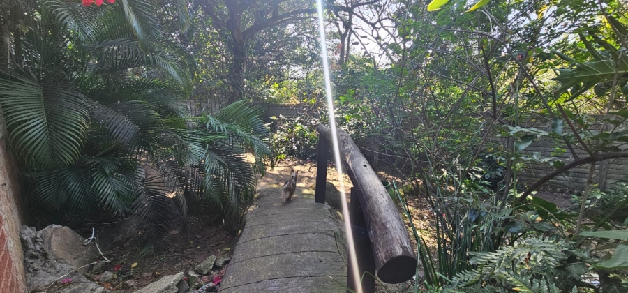 To Let 3 Bedroom Property for Rent in Arboretum KwaZulu-Natal