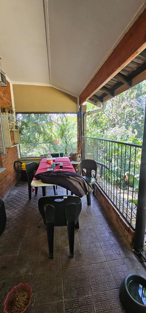 To Let 3 Bedroom Property for Rent in Arboretum KwaZulu-Natal