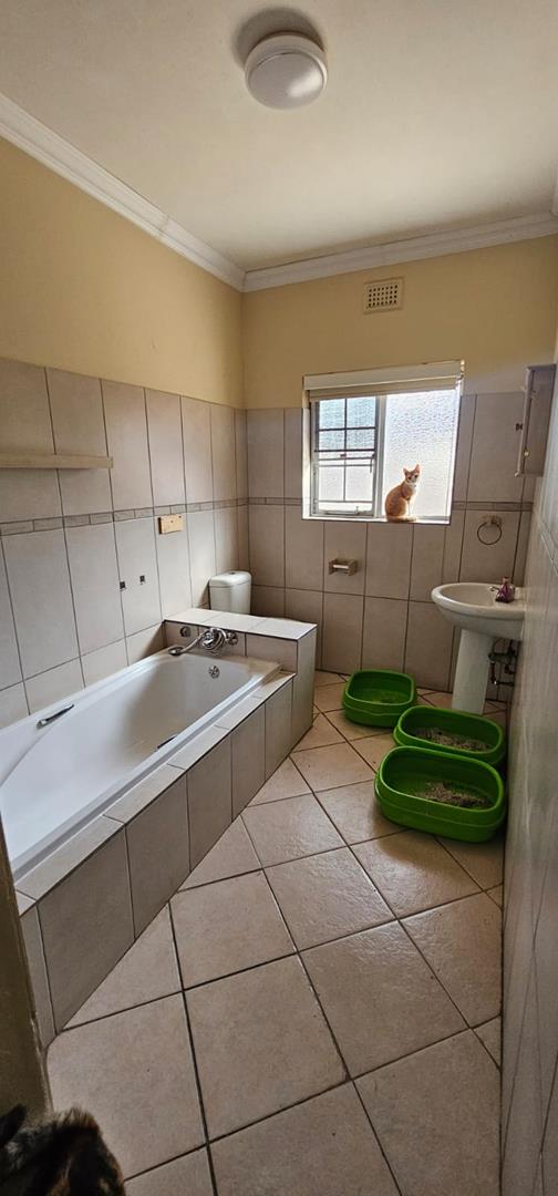 To Let 3 Bedroom Property for Rent in Arboretum KwaZulu-Natal