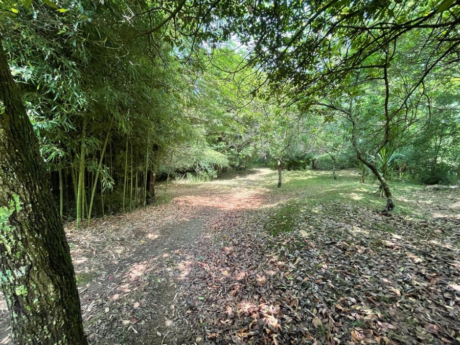 5 Bedroom Property for Sale in Howick Rural KwaZulu-Natal