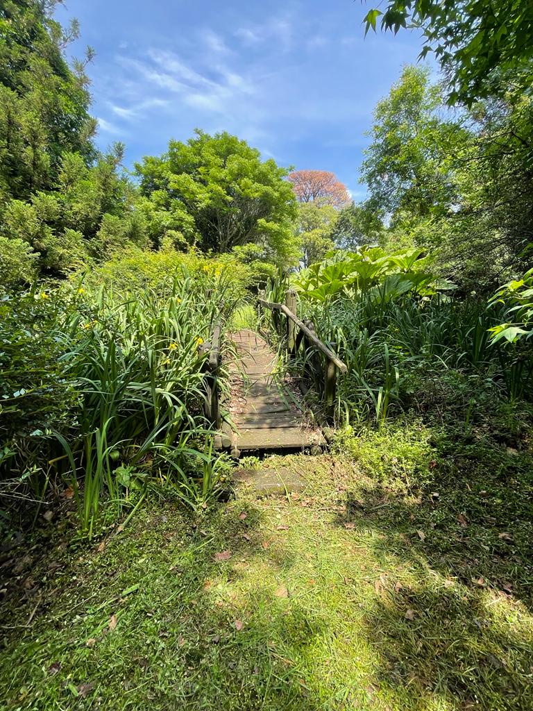 5 Bedroom Property for Sale in Howick Rural KwaZulu-Natal