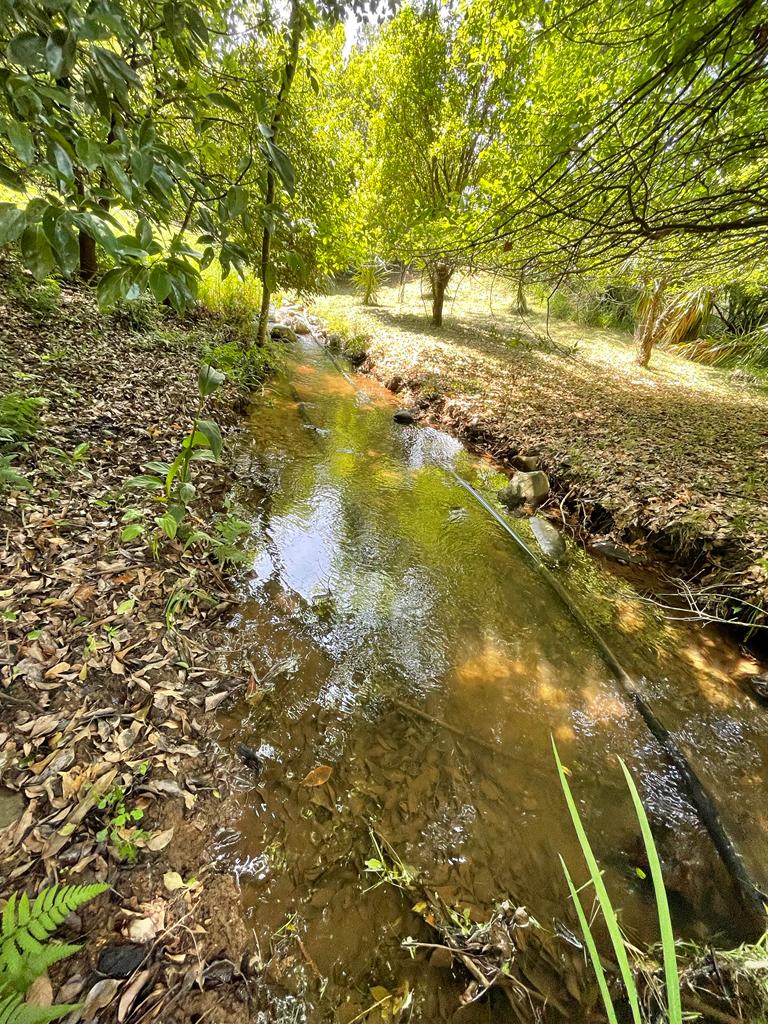 5 Bedroom Property for Sale in Howick Rural KwaZulu-Natal