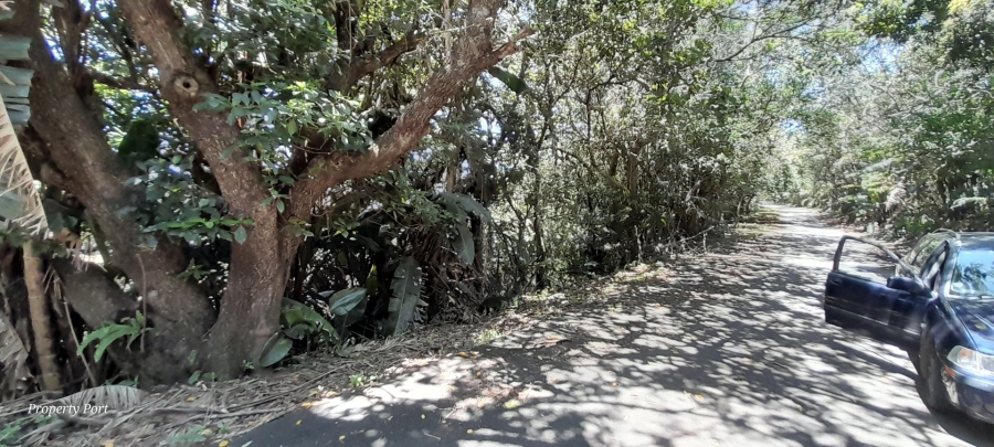 Commercial Property for Sale in Southbroom KwaZulu-Natal