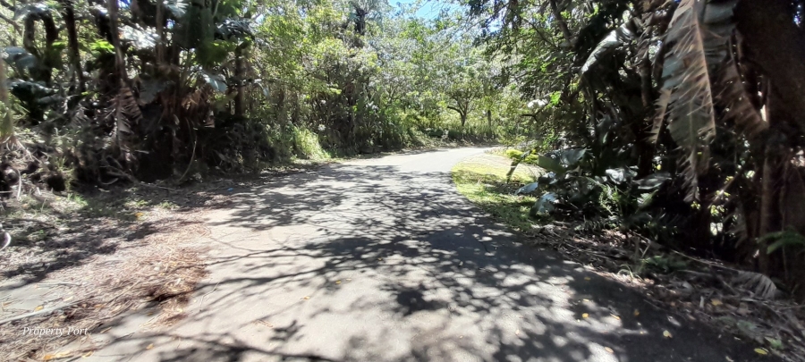 Commercial Property for Sale in Southbroom KwaZulu-Natal