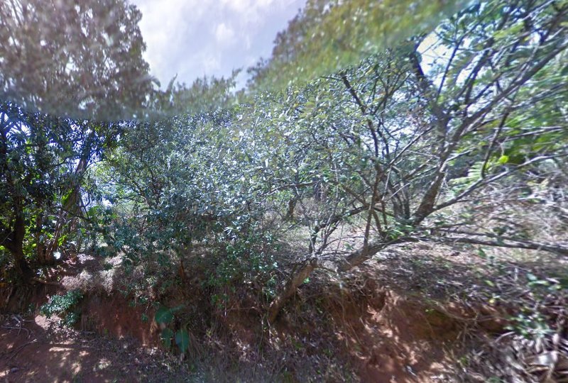 Commercial Property for Sale in Trafalgar KwaZulu-Natal