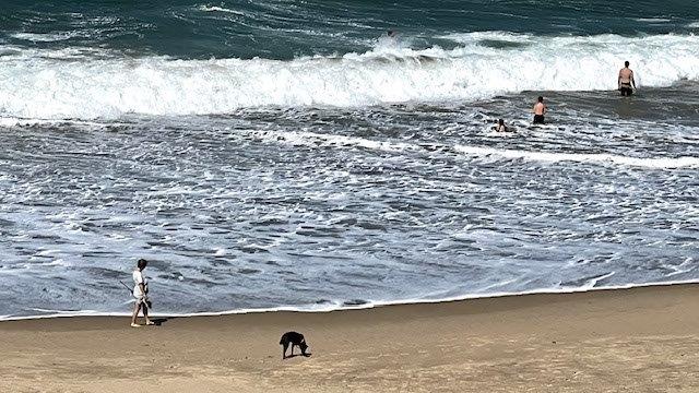 4 Bedroom Property for Sale in Ramsgate KwaZulu-Natal