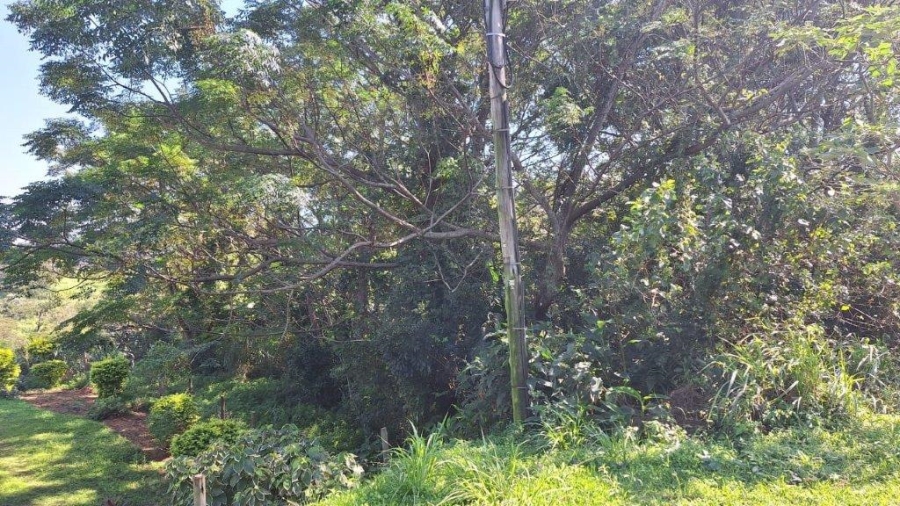 Commercial Property for Sale in Sea Park KwaZulu-Natal