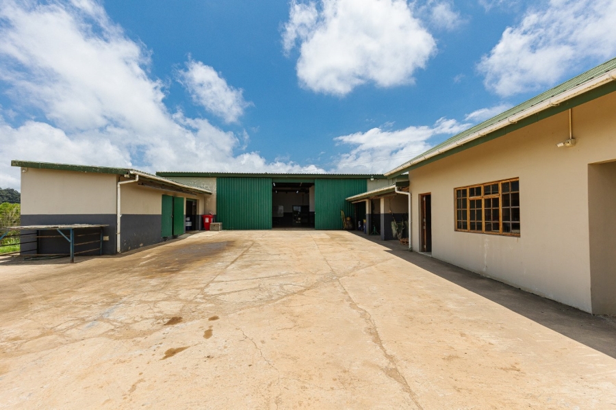 Commercial Property for Sale in Paddock KwaZulu-Natal
