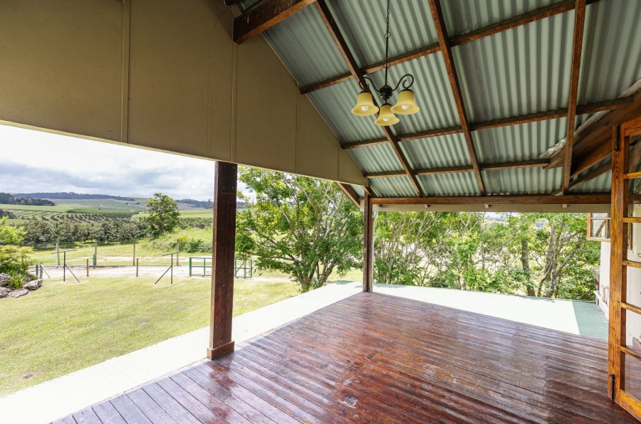 Commercial Property for Sale in Paddock KwaZulu-Natal