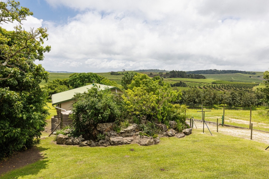 Commercial Property for Sale in Paddock KwaZulu-Natal