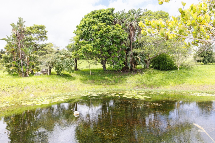 Commercial Property for Sale in Paddock KwaZulu-Natal