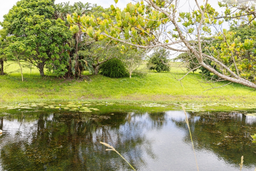 Commercial Property for Sale in Paddock KwaZulu-Natal