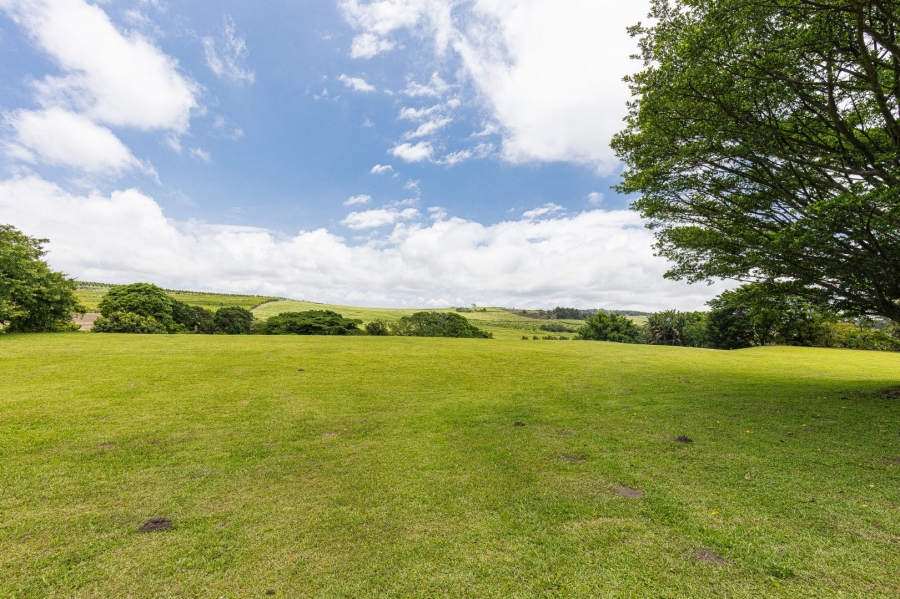 Commercial Property for Sale in Paddock KwaZulu-Natal