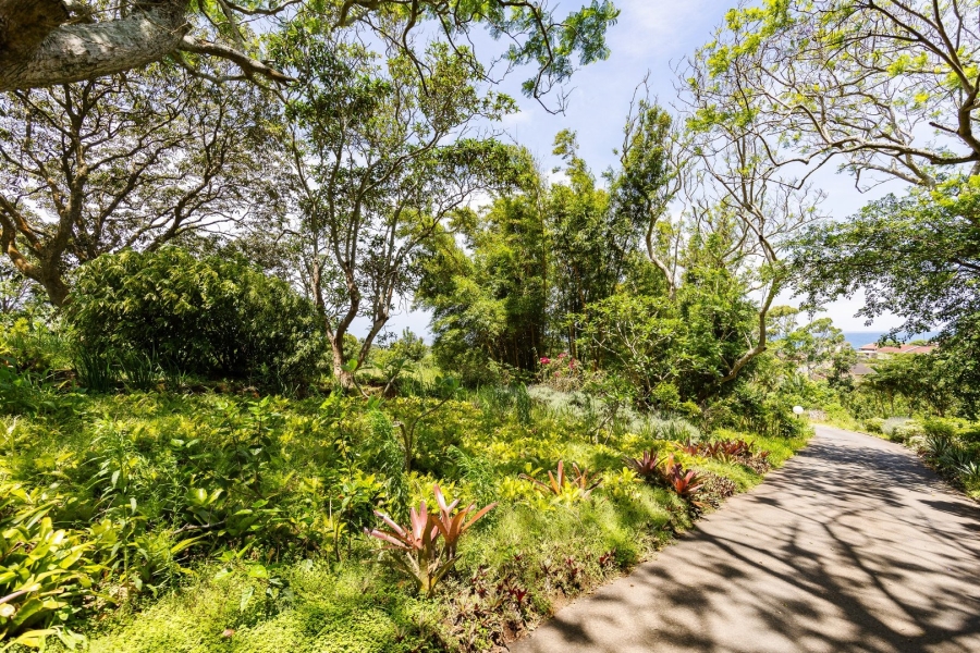 Commercial Property for Sale in Melville KwaZulu-Natal