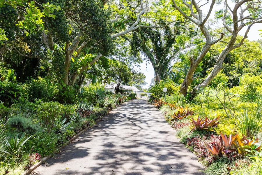 Commercial Property for Sale in Melville KwaZulu-Natal