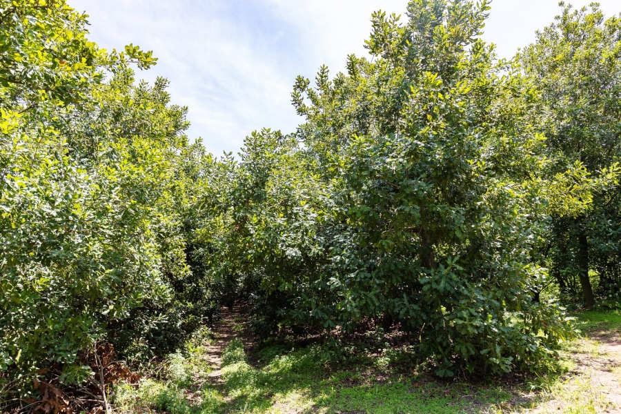 Commercial Property for Sale in Melville KwaZulu-Natal