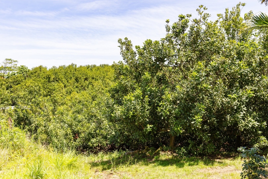 Commercial Property for Sale in Melville KwaZulu-Natal