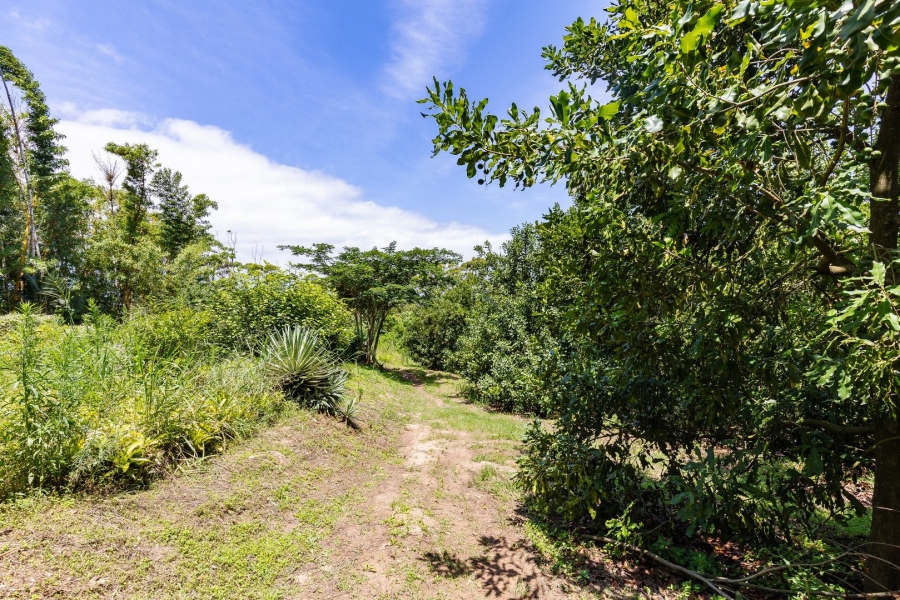 Commercial Property for Sale in Melville KwaZulu-Natal